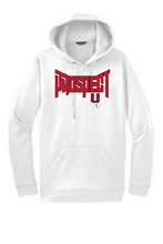 Load image into Gallery viewer, Adult Sport-Tek® Sport-Wick® Fleece Hooded Pullover