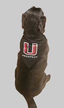Load image into Gallery viewer, Large Black Prospect Bandana
