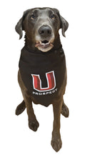 Load image into Gallery viewer, Large Black Prospect Bandana
