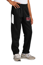 Load image into Gallery viewer, Sport-Tek® Youth Travel Pant
