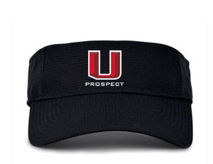 UA Prospect Visor