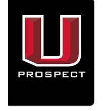 Load image into Gallery viewer, Prospect U Decal
